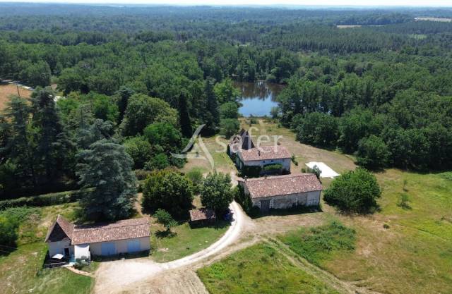 Woodland  Dordogne