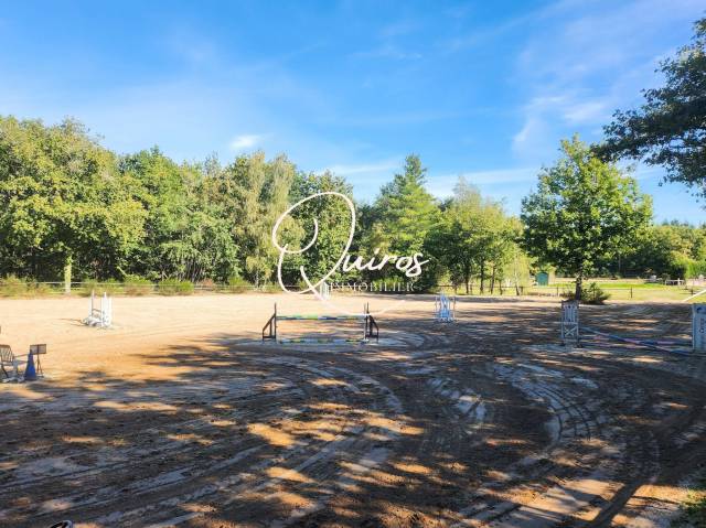 Equestrian property  Loir-et-Cher