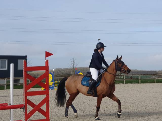 Mare Origin Recorded For sale 2018 Bay