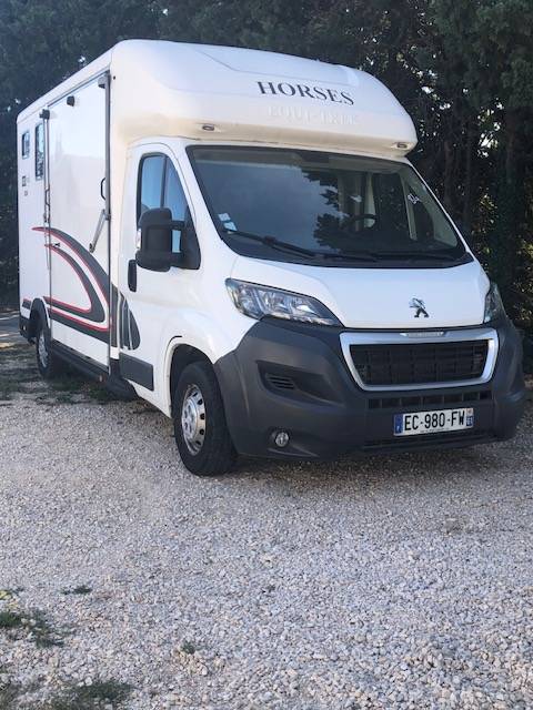 Horsebox HGV Peugeot equitreck 2016 Used
