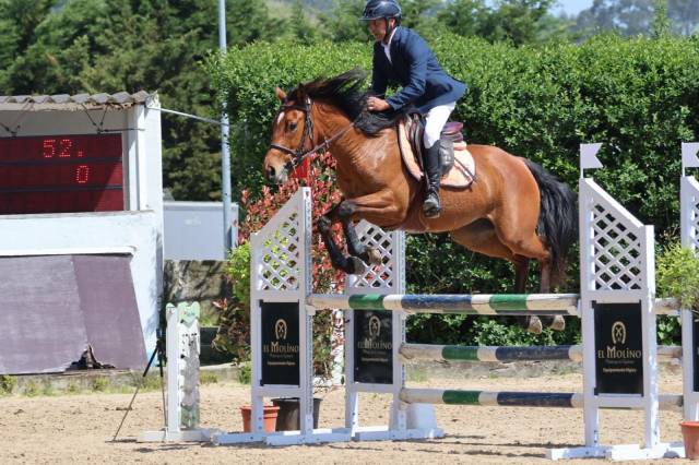 Mare Other Pony Breed For sale 2020 Other color