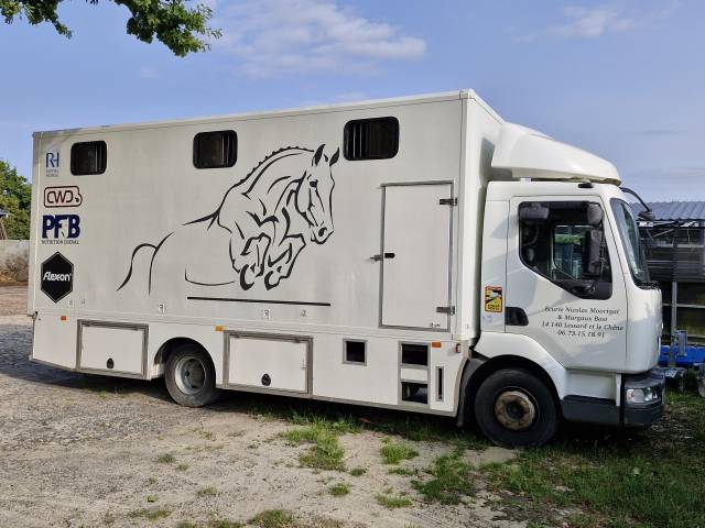 Horsebox NON-HGV Renault Midlum 2004 Used