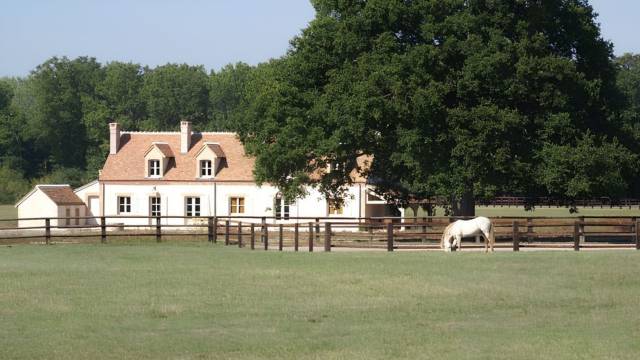 Equestrian property  Loir-et-Cher