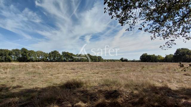 Other agricultural property  Vienne