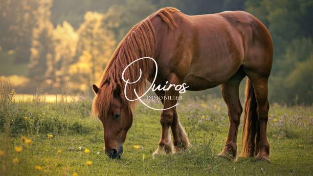 Equestrian property  