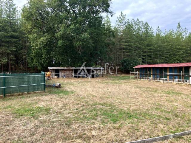 Other agricultural property  Loiret