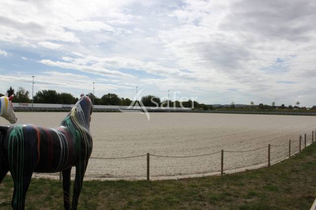 Equestrian property  Marne