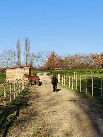 Equestrian property  Dordogne