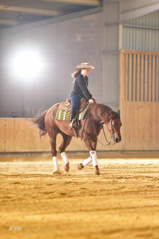 Gelding Quarter For sale 2019 Chesnut