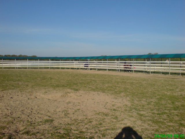 Horse Walker Telehorse.com New