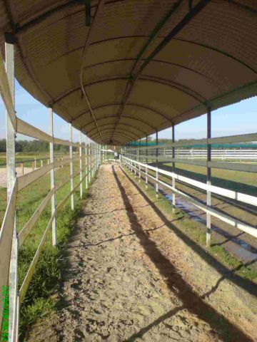 Horse Walker Telehorse.com New