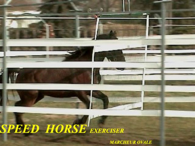 Horse Walker Telehorse.com New