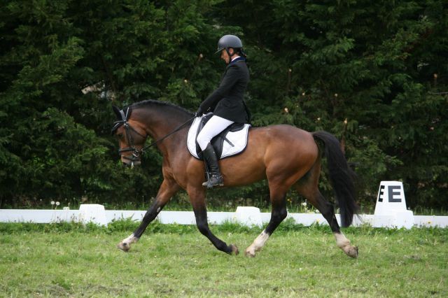 TUCSON DU RIF - New Forest 2007 by POLSBURY PINOCCIO