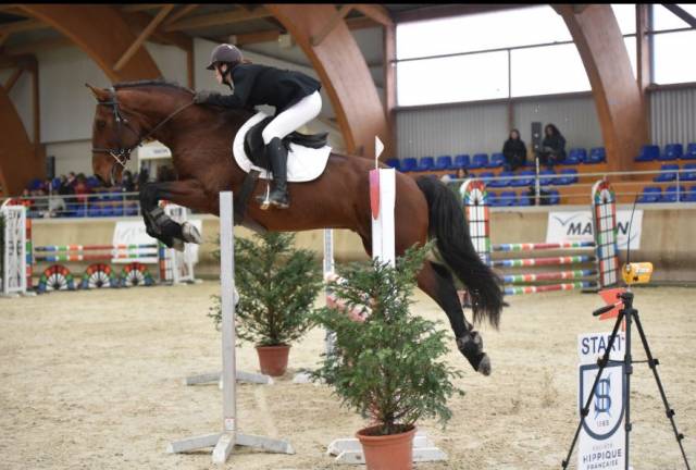 Riding teacher apprentice - Apprentice Full time - Rhône France