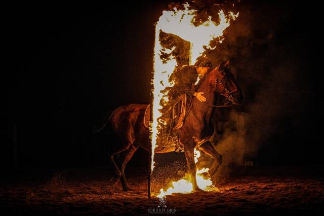 Amadeo de Ruyer - Lusitano 2010 by Borladero FLV