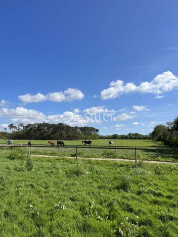 Equestrian property  Vendée