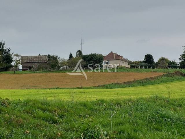 Sheep farm  Corrèze