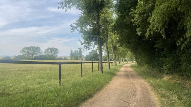 Stud farm  Ain