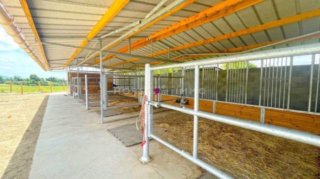 Equestrian property  Drôme