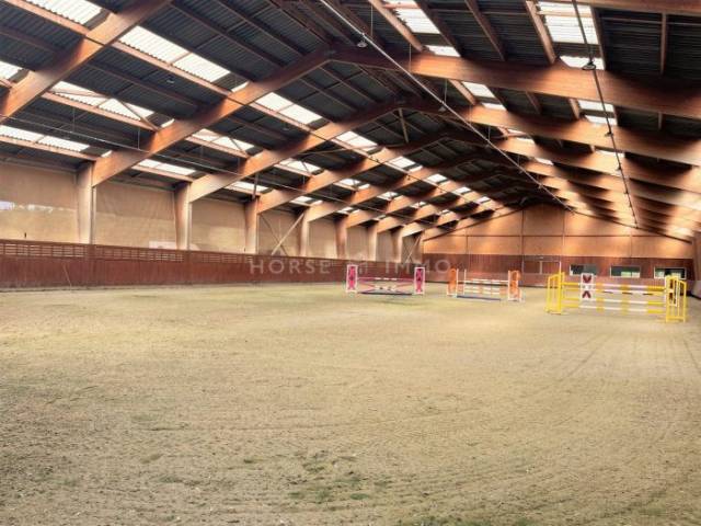 Stud farm  Loiret
