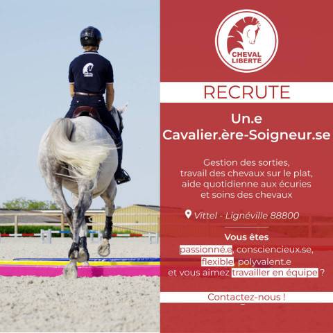 Rider, Showjumping - Permanent contract Full time - Vosges France