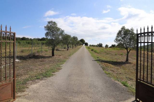 Luxurious equestrian property  Aude
