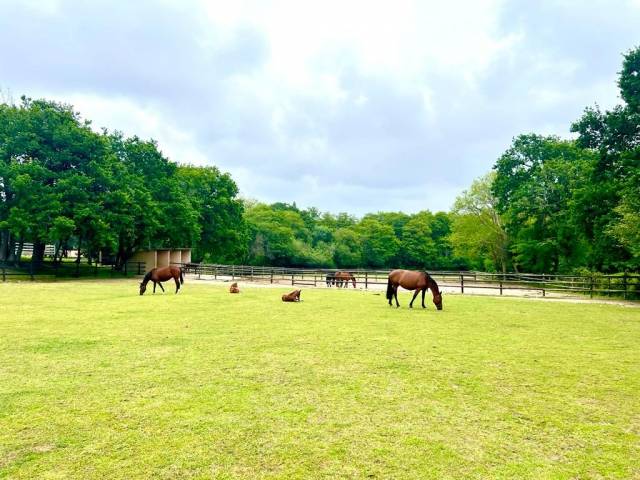 Equestrian property  Pyrénées-Atlantiques