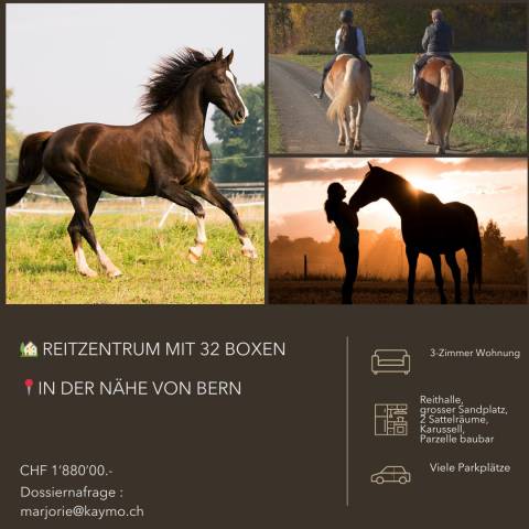Riding school  Berne