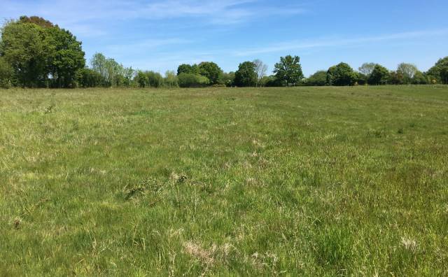 Stud farm  Calvados