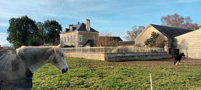 Luxurious equestrian property  Calvados