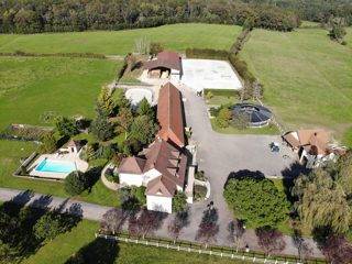 Stud farm  