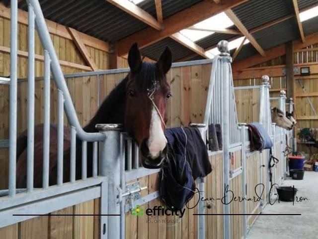 Livery yard  Ile-et-Vilaine