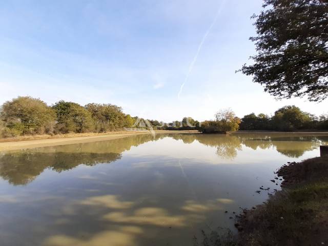 Other country property  Vienne