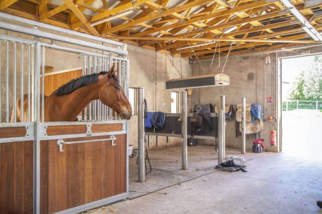 Stud farm  Isère