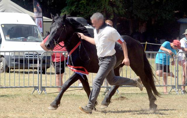 JOYEUX D'HEINS - Mérens 2019