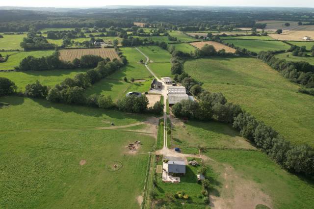 Stud farm  Calvados