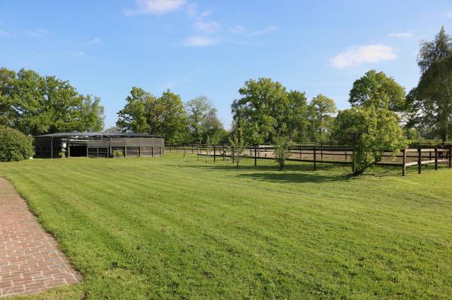 Stud farm  Calvados