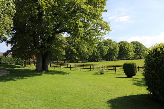 Stud farm  Calvados