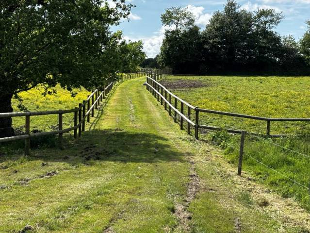 Equestrian property  Morbihan