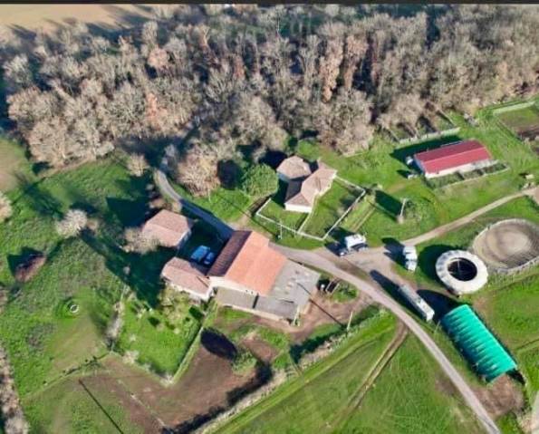 Equestrian property  tarn