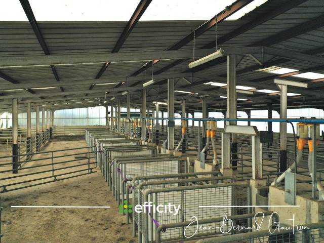Stud farm  Côte d'Armor