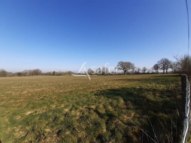 Sheep farm  Deux-Sèvres