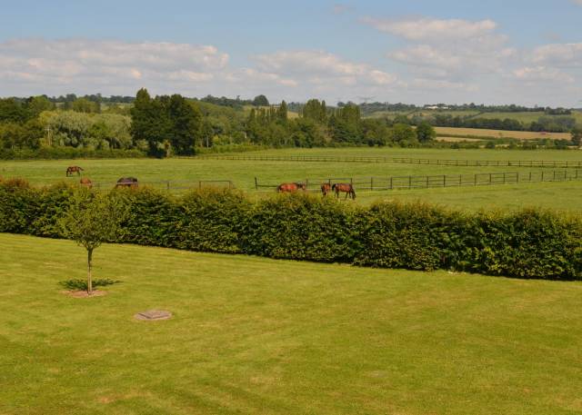 Stud farm  Calvados