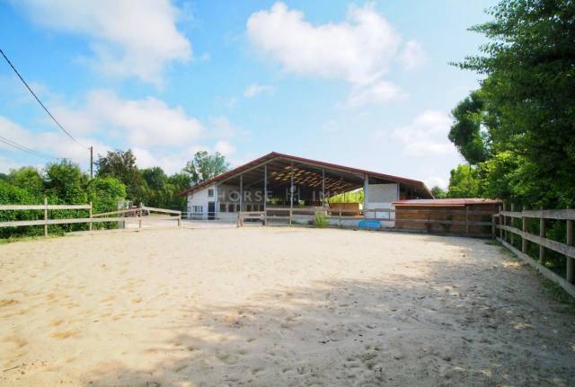 Stud farm  Isère