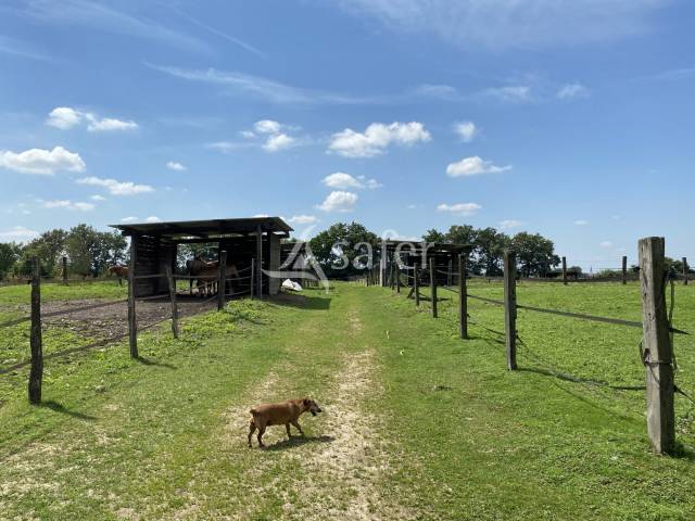 Equestrian property  Ain