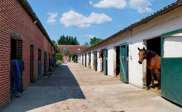 Equestrian property  Orne