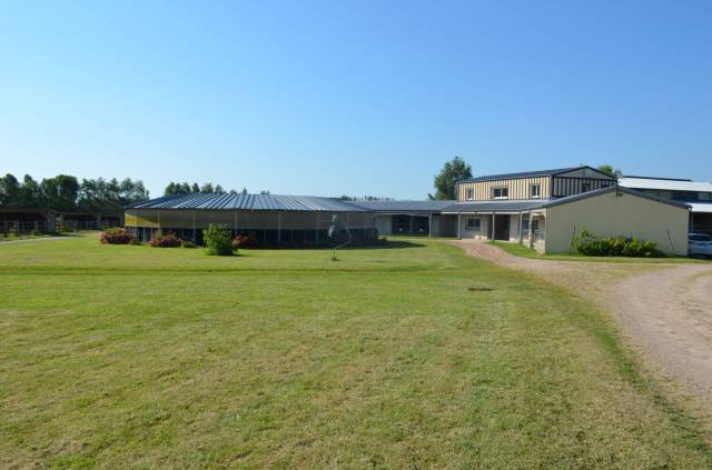 Stud farm  Calvados