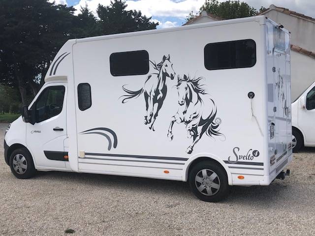Horsebox HGV Trans Box Svelto 4 2020 Used