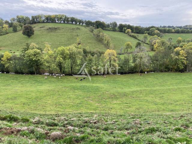 Other agricultural property  Cantal