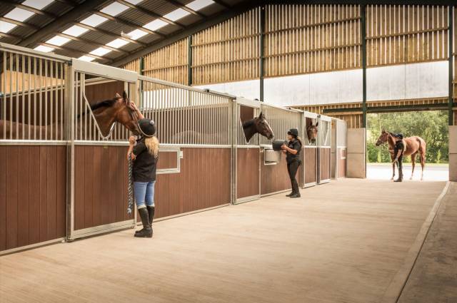 Monarch Equestrian Ltd - Top-Quality Equestrian Equipme